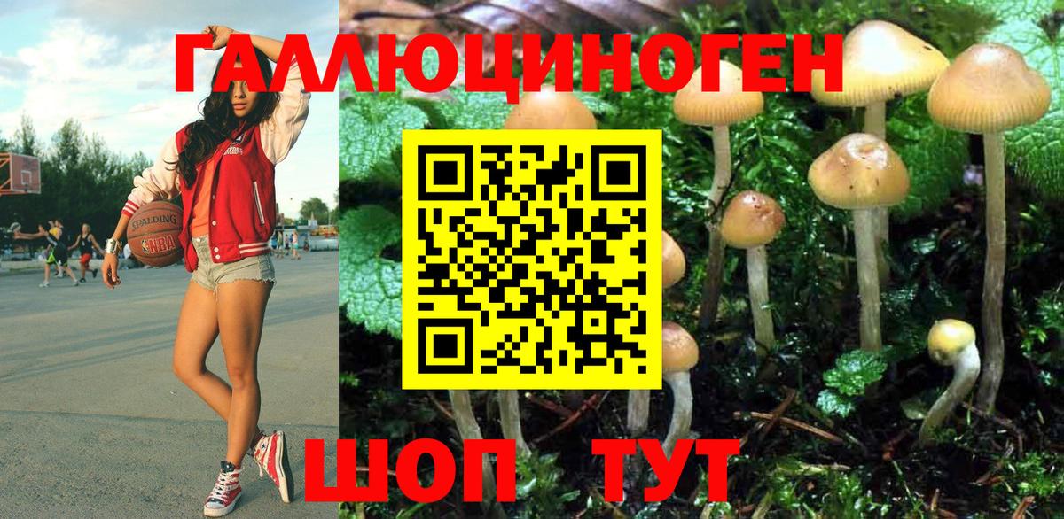 закладки  Вход с VPN  Чехов  Галлюциногенные грибы мухоморы 